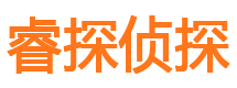 八道江市侦探公司